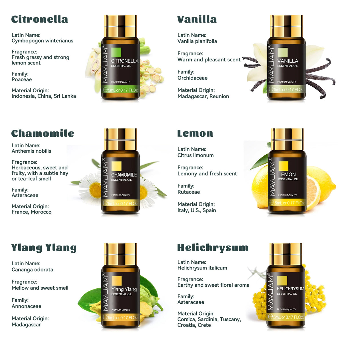 MAYJAM 35 Bottles Essential Oils Kit Gift Box ,Lavender Jasmine Vanilla Lemon Eucalyptus Sandalwood Frankincense SweetOrange Ylang Rose Bergamot Tea Tree Lemongrass Patchouli Rosemary Geranium Citronella Aromatherapy Oil for